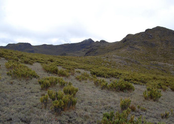 Чиррипо Национальный Парк, Сан Хосе провинция, Коста-Рика, фото № 41240 – фотографии Коста-Рики
