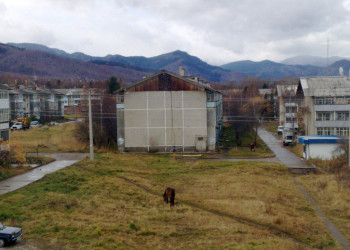Жилой район Байкальска – фотографии России