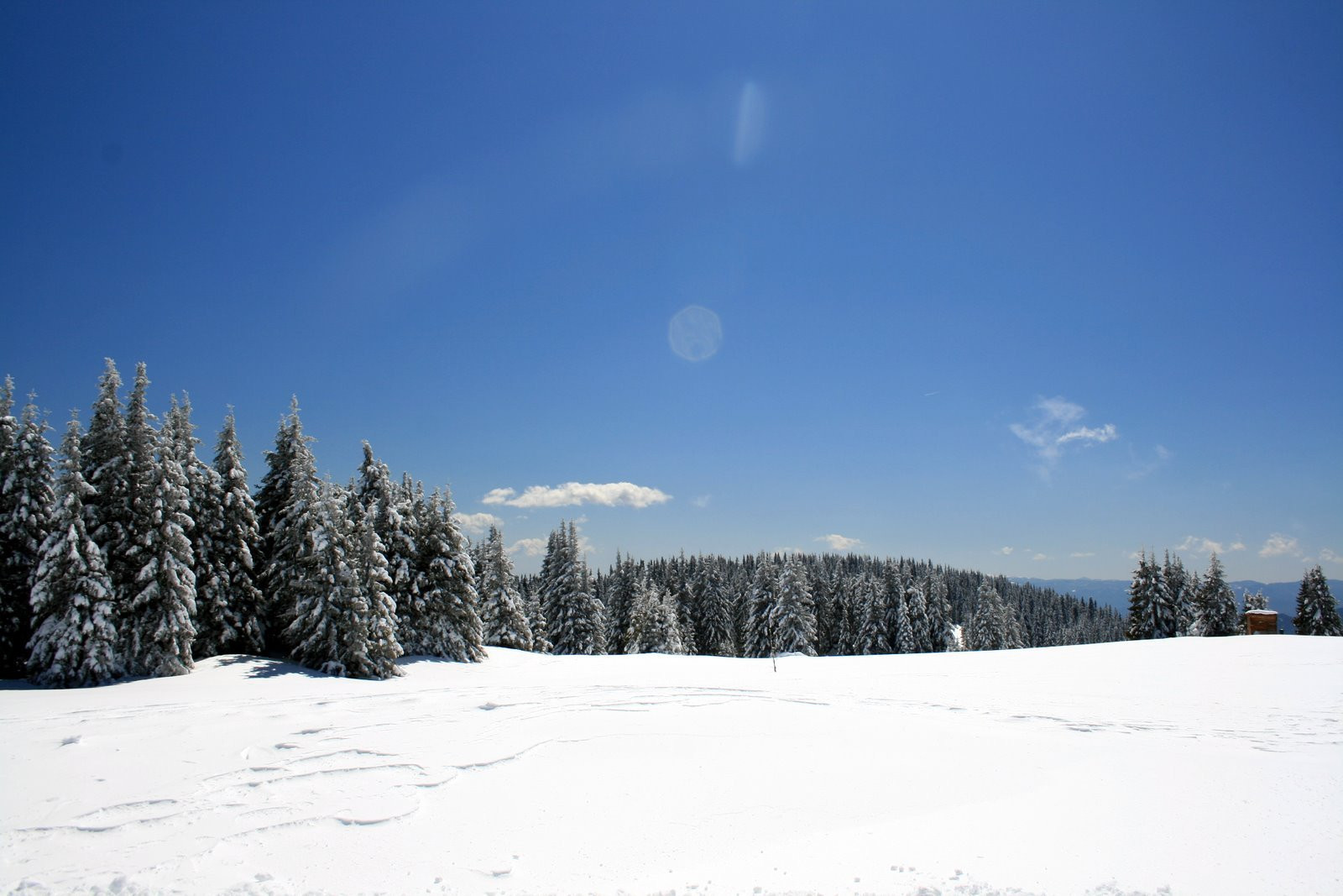 Природа в Пампорово, Болгария – фотографии Болгарии