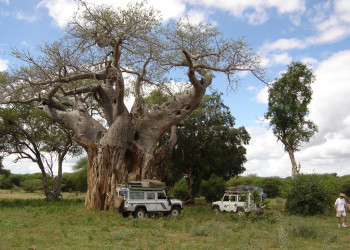 Национальный парк Гонарежу в Зимбабве. Фото 9 – фотографии Зимбабве