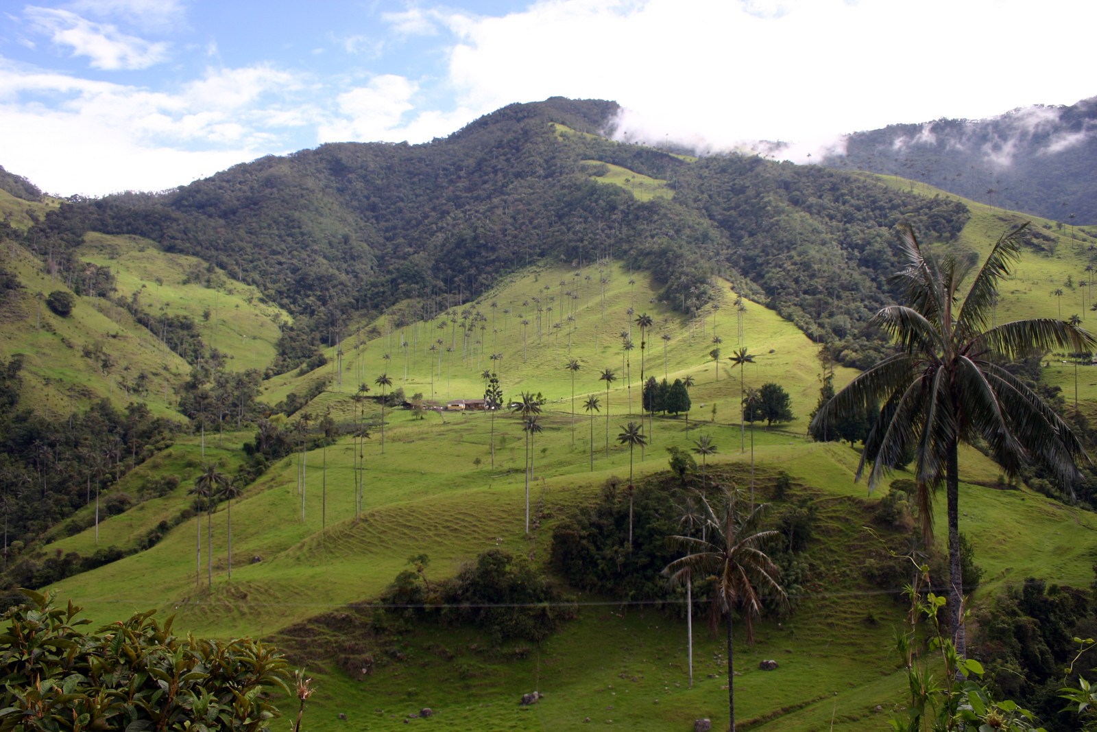 Долина Кокора. Фото 4 – фотографии Колумбии