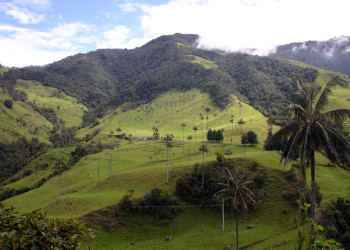 Долина Кокора. Фото 4 – фотографии Колумбии