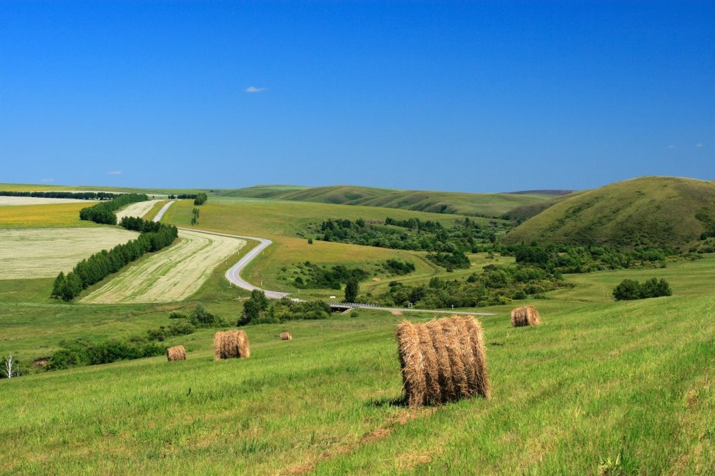 Сенокос – фотографии России