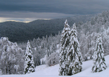 Соришка Планина, Словения, фото № 57558 – фотографии Словении