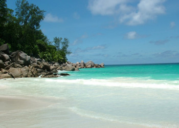 Остров Праслин, Сейшелы. Фото 22 – фотографии Сейшельских островов