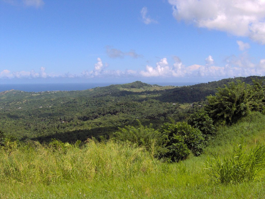 Природа в Барбадосе – фотографии Барбадоса