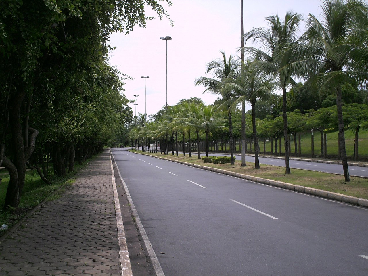 Дорога в Куяба, Бразилия. Фото 4 – фотографии Бразилии