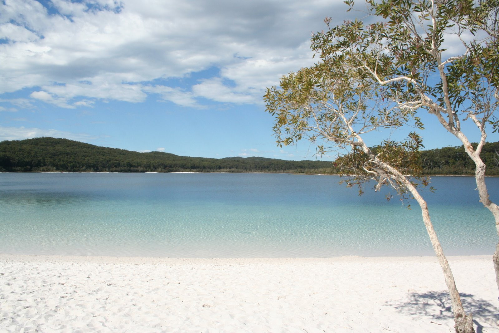 Пляж в Австралии. Фото 6 – фотографии Австралии