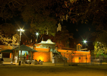 Священное фиговое дерево в Анурадхапуре – фотографии Шри-Ланки