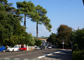 Транспорт в Оссегоре, Франция. Фото 1 – фотографии Франции