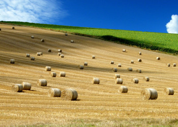 Путешествуем по Голландии. Фото 6 – фотографии Нидерландов