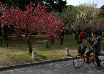 Park Surrounding the Kyoto Imperial Palace – фотографии Японии