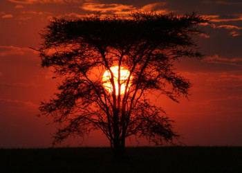 Закат в Танзании – фотографии Танзании