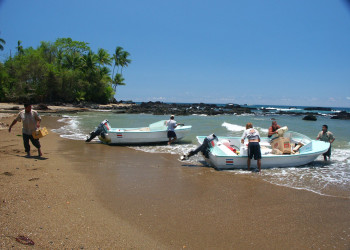 Корковадо Национальный Парк, Пунтаренас провинция, Коста-Рика, фото № 40537 – фотографии Коста-Рики