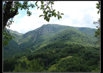 Природа в Беране, Черногория. Фото 5 – фотографии Черногории