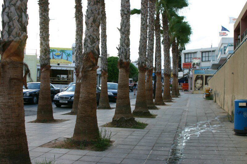 Айя-Напа, Кипр, фото № 37465 – фотографии Кипра