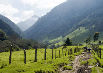Долина Кокора в Колумбии. Фото 10 – фотографии Колумбии