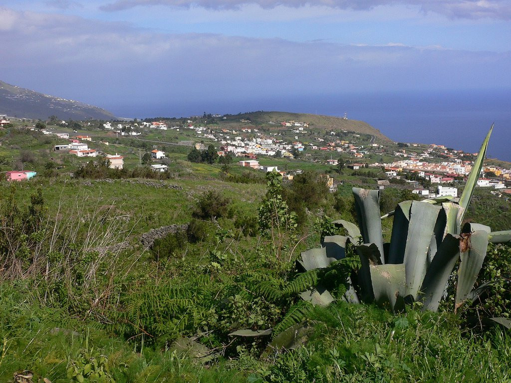 Брения-Альта, Ла-Пальма остров, Канарские острова, фото № 31830 – фотографии Канарских островов
