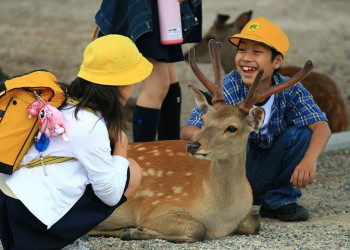 Nara – фотографии Японии
