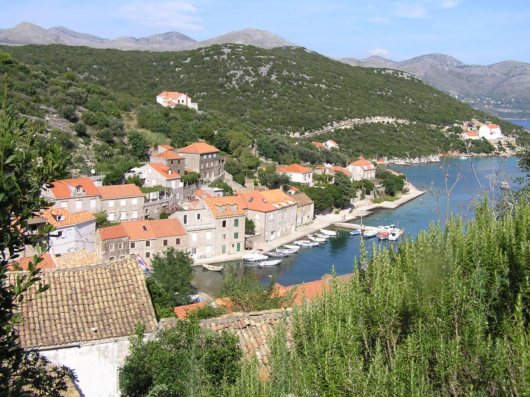 Дома на берегу острова Шипан, Хорватия. Фото 6 – фотографии Хорватии