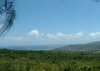 Панорамный вид Восточного побережья, Барбадос. Фото 13 – фотографии Барбадоса