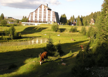 Животные в Жабляк, Черногория – фотографии Черногории