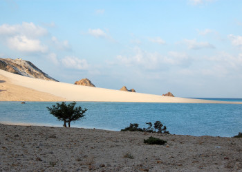 Остров Сокотра, Йемен – фотографии Йемена