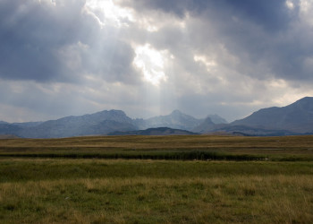 Поле в Дурмитор, Черногория. Фото 11 – фотографии Черногории