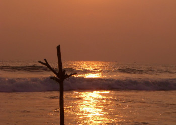 Хиккадува, Шри-Ланка, фото № 52541 – фотографии Шри-Ланки