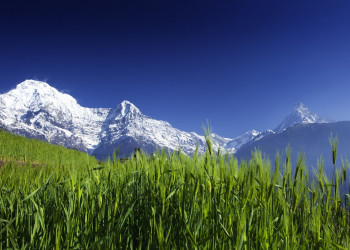 Аннапурна заповедник, Непал, фото № 78892 – фотографии Непала