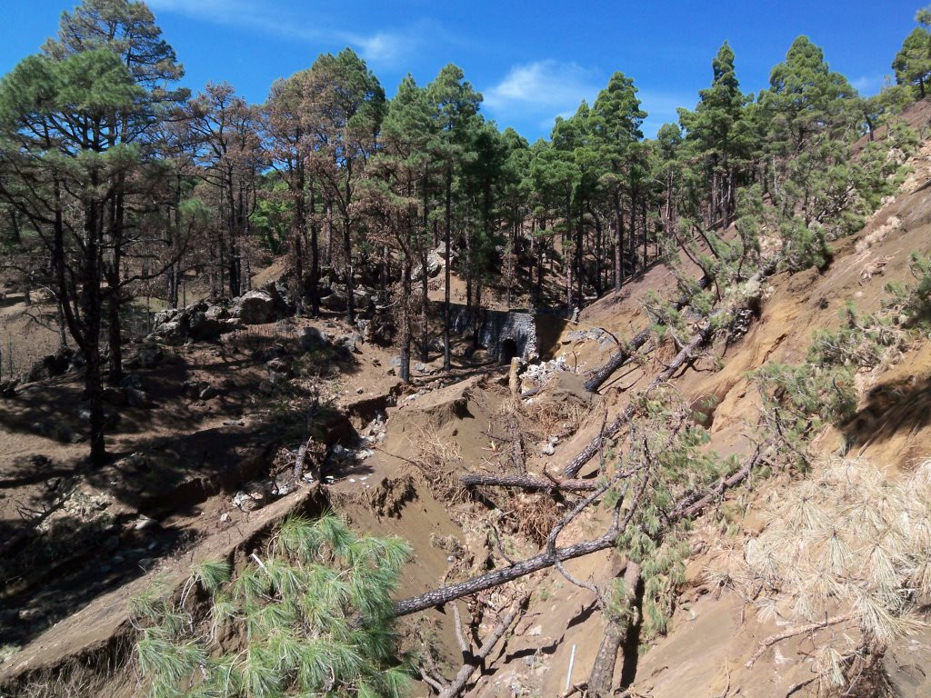Эль-Йерро остров, Канарские острова, фото № 34709 – фотографии Канарских островов