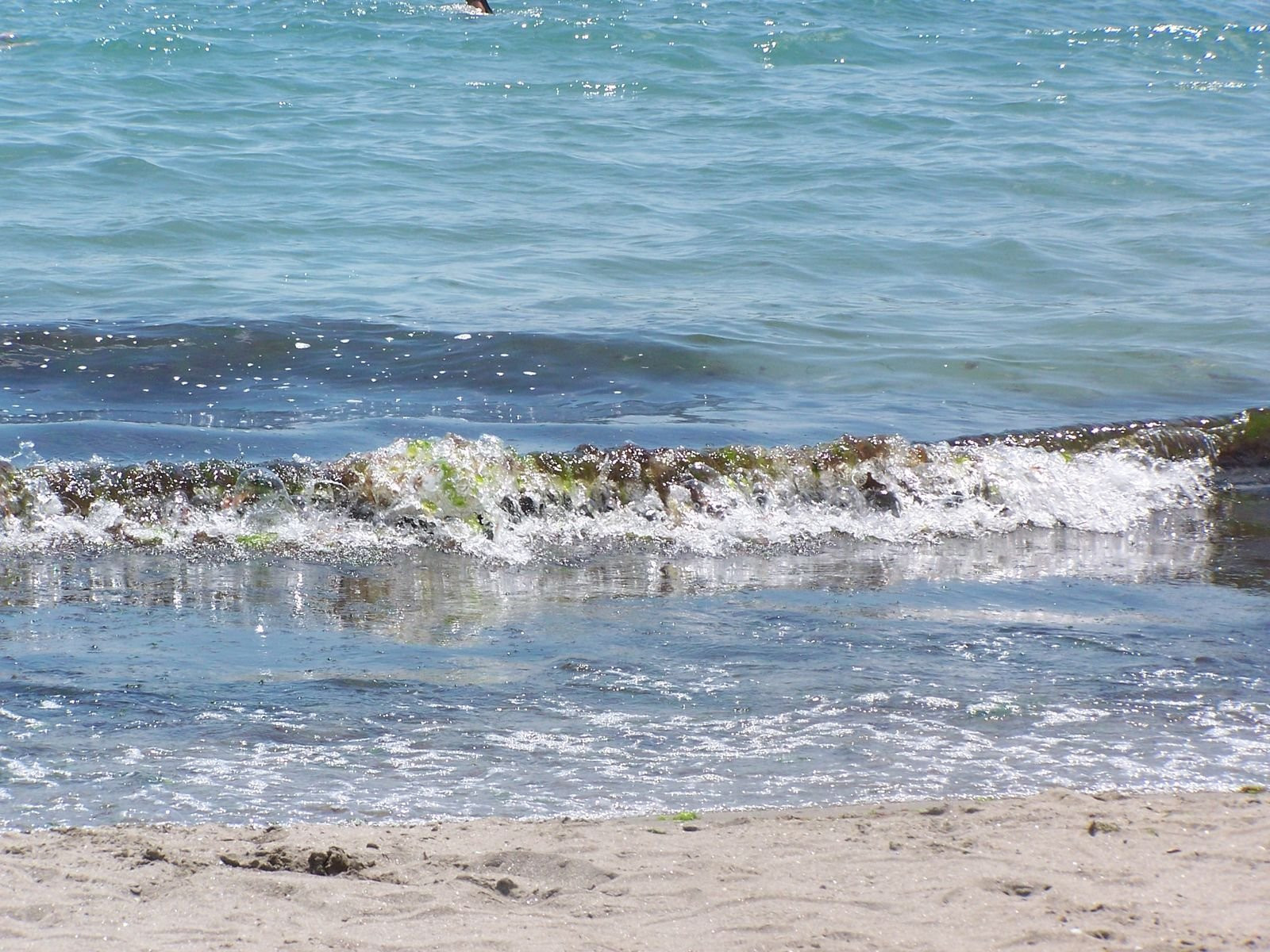 Море в Русалка, Болгария. Фото 1 – фотографии Болгарии