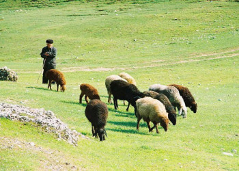 Туркестан, Казахстан, фото № 67604 – фотографии Казахстана
