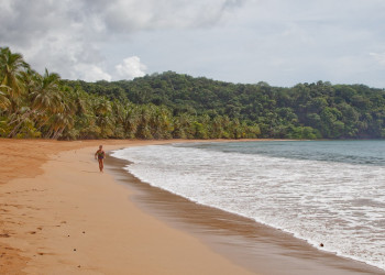 Сан Томе остров, Сан-Томе и Принсипи, фото № 58590 – фотографии Сан-Томе и Принсипи