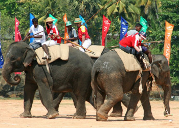 Галле, Шри-Ланка, фото № 50920 – фотографии Шри-Ланки