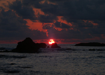 Корковадо Национальный Парк, Пунтаренас провинция, Коста-Рика, фото № 40546 – фотографии Коста-Рики