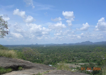 Дамбулла, Шри-Ланка, фото № 51068 – фотографии Шри-Ланки