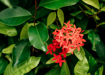 Патонг – фотографии Таиланда