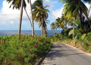 Природа в Батшиба, Барбадос. Фото 2 – фотографии Барбадоса