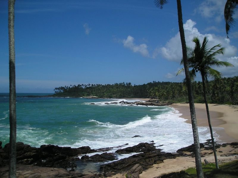 Тангалле, Шри-Ланка, фото № 52355 – фотографии Шри-Ланки