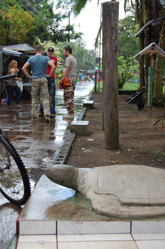 Тортугеро, Лимон провинция, Коста-Рика, фото № 40294 – фотографии Коста-Рики