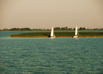 Парусники. Нойзидлерзе-Зевинкель — национальный парк. Австрия – фотографии Австрии