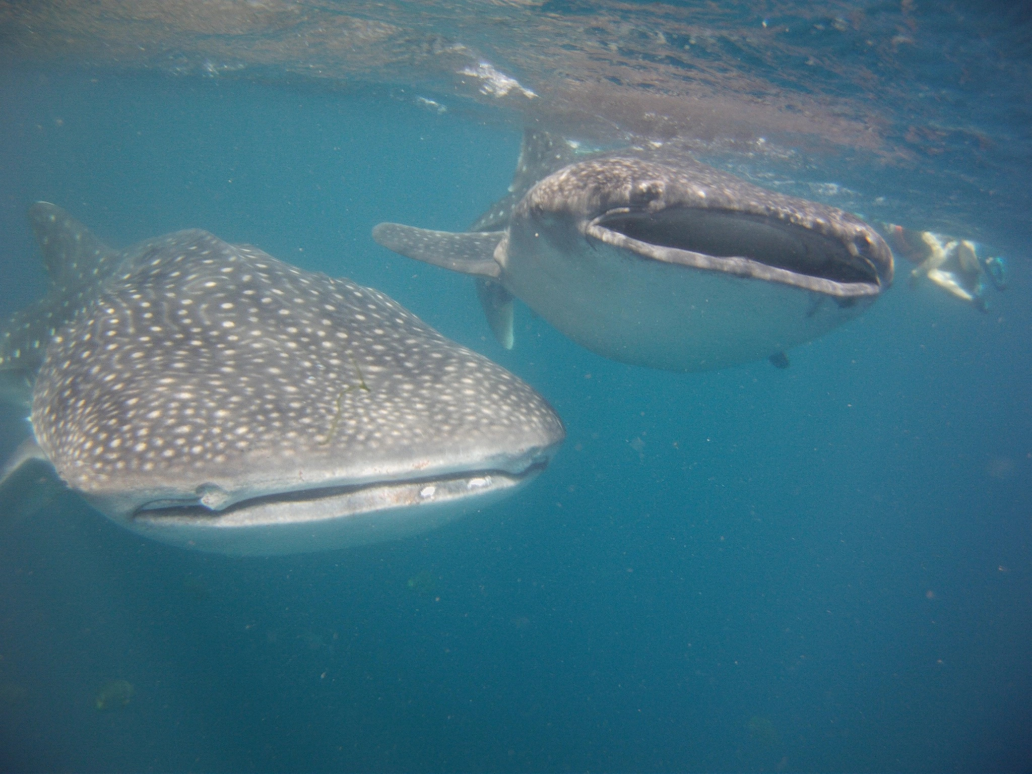 Филиппины – фотографии Филиппин