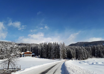 Снежная дорога в лес. Мариалфарр. Австрия – фотографии Австрии