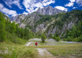 Нойзидлерзе-Зевинкель — национальный парк и заповедник. Австрия – фотографии Австрии
