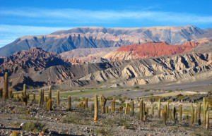 Горы и кактуса. Санта Роса. Аргентина. – фотографии Аргентины