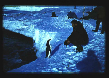 Поговорим о жизни – фотографии