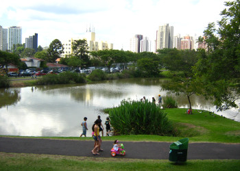 Ботанический сад Куритибы – фотографии Бразилии