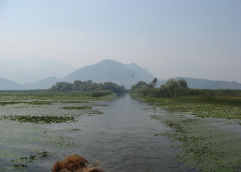 Скадарское озеро в Национальном парке, Черногория – фотографии Черногории