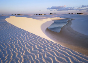 Оазис Фарафра 8 – фотографии Египта